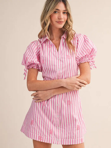 Striped Paisley Embroidery Button Down Mini Dress