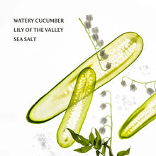 Touchland Gentle Mist - Lily of the Valley