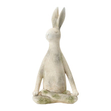 Yoga Rabbit