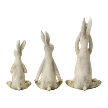 Yoga Rabbit