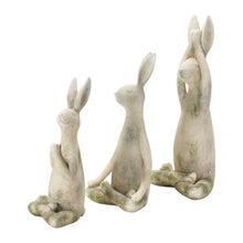 Yoga Rabbit