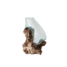 Recycled Glass Terrarium/Vase on Wood Base