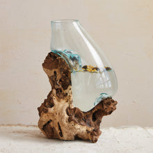 Recycled Glass Terrarium/Vase on Wood Base