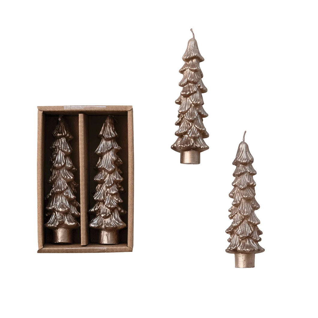 Unscented Tree Shaped Taper Candles in Box - Champagne