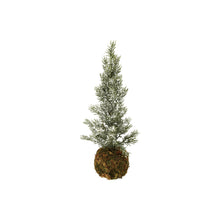 Faux Fir Tree with Moss Ball Base and Ice Finish