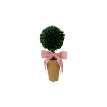 Dried Boxwood Tree in Terracotta Pot with Pink Velvet Bow