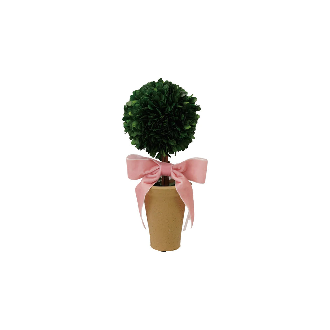 Dried Boxwood Tree in Terracotta Pot with Pink Velvet Bow