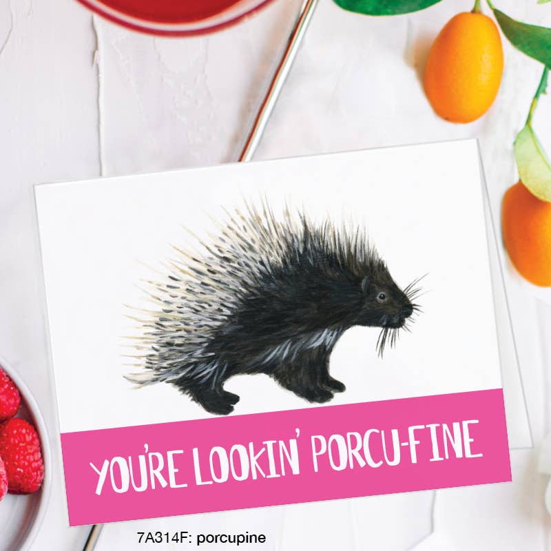 Porcupine (Anniversary, Inspiration, Thinking of You)