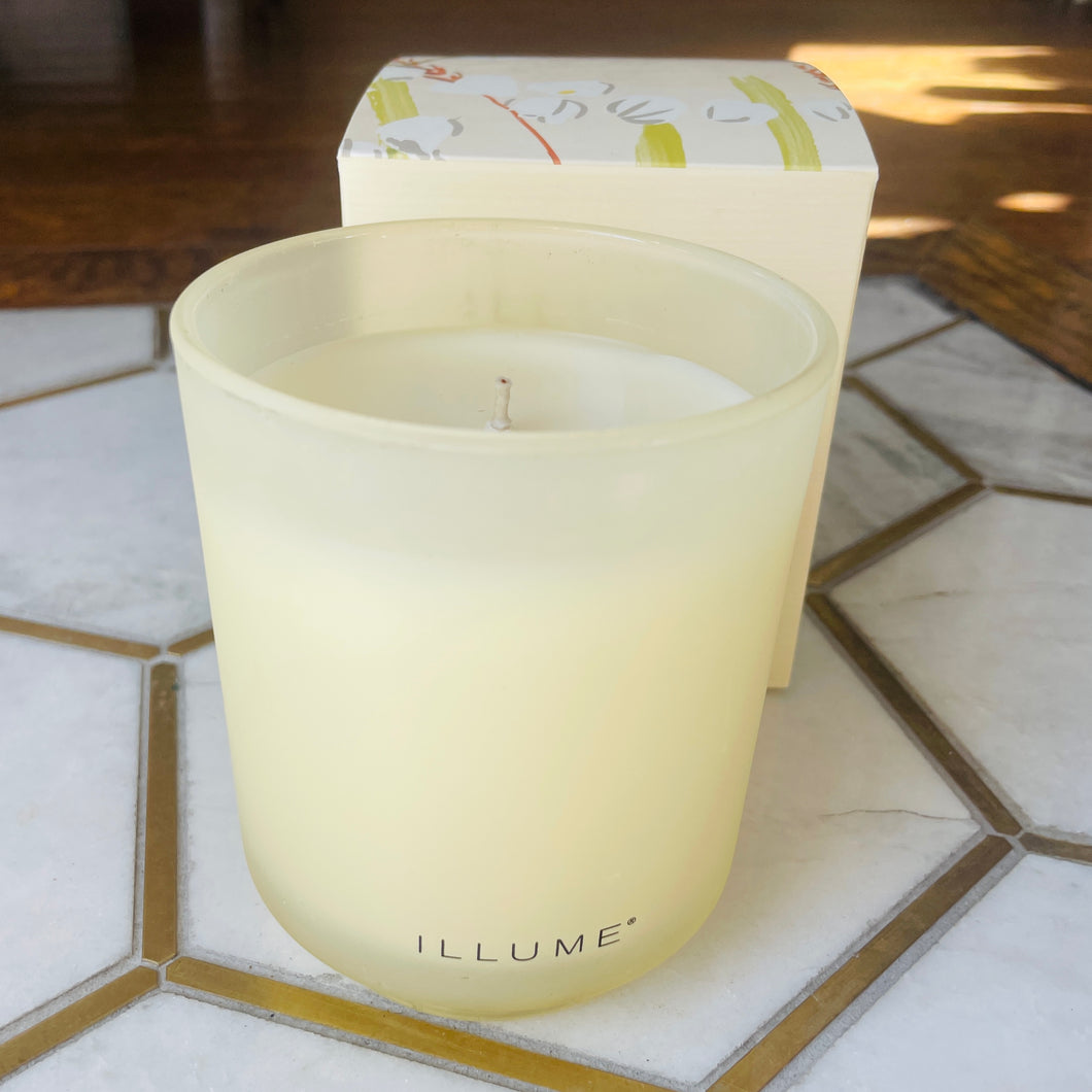 Isla Lilly Illume Refillable Plant-Based Candle